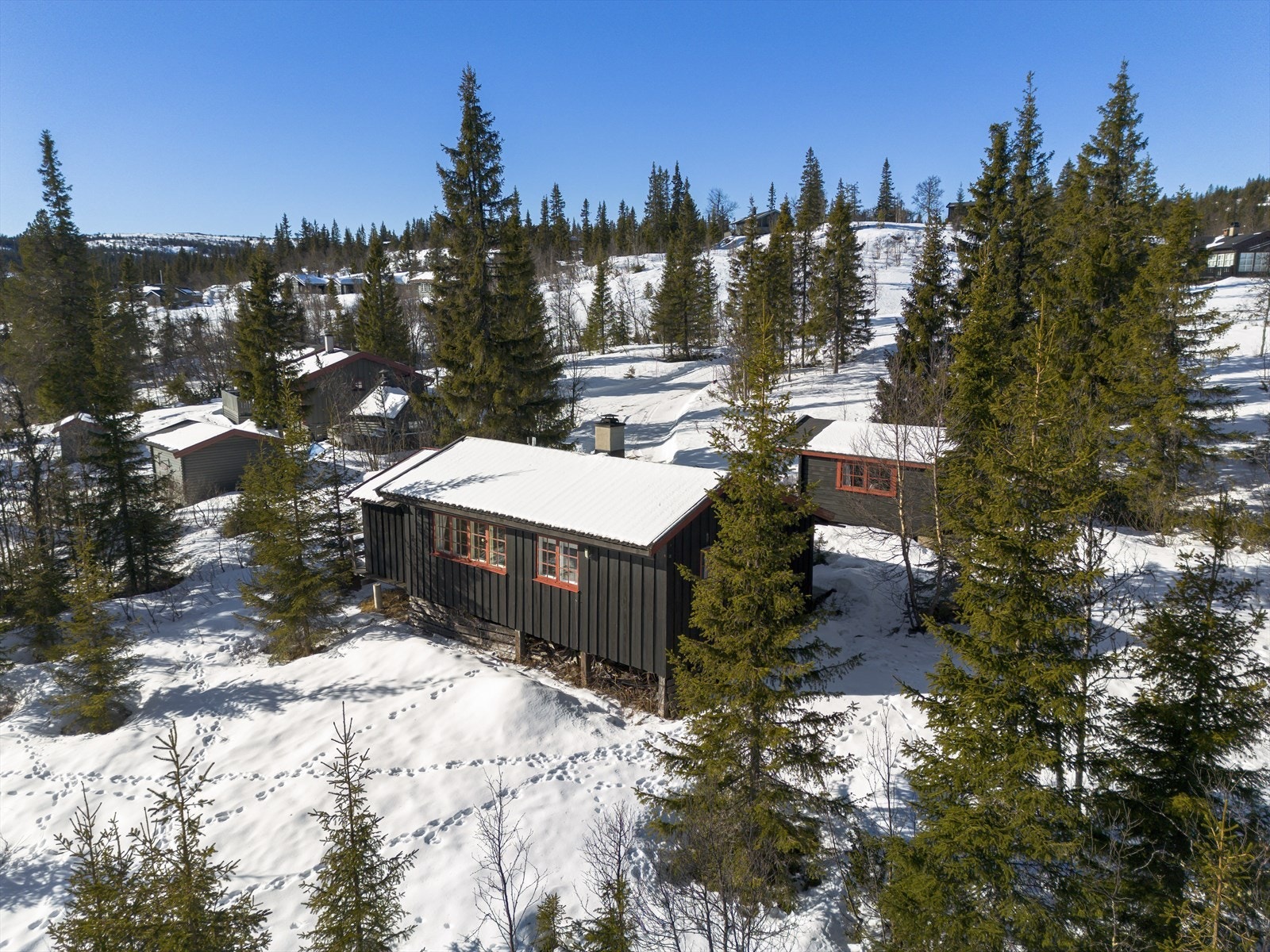 Her det stille og fredelig, og ferske spor etter hare sees stadig vekk. Galleribilde