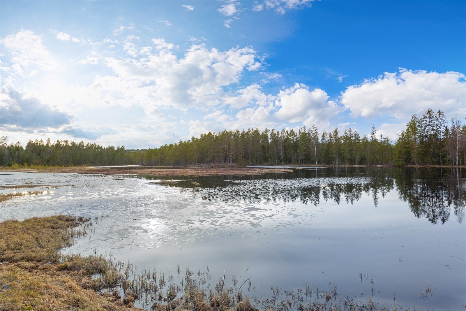 Her bor det en stor andefamilie på sommeren ! Yndet plass for turfolk og grilling rundt vannet her. Galleribilde