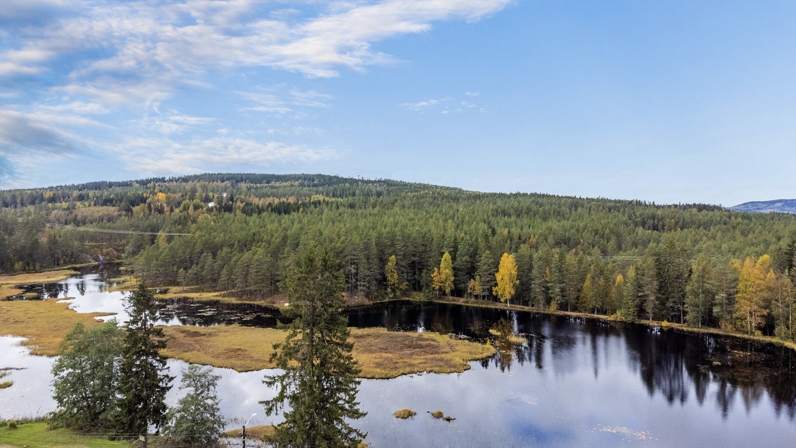 Oversiktsbilde over Bjørnnmyra! Galleribilde