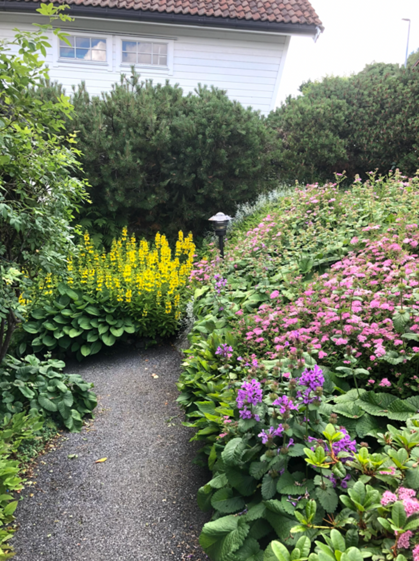 Selgers bilde Galleribilde