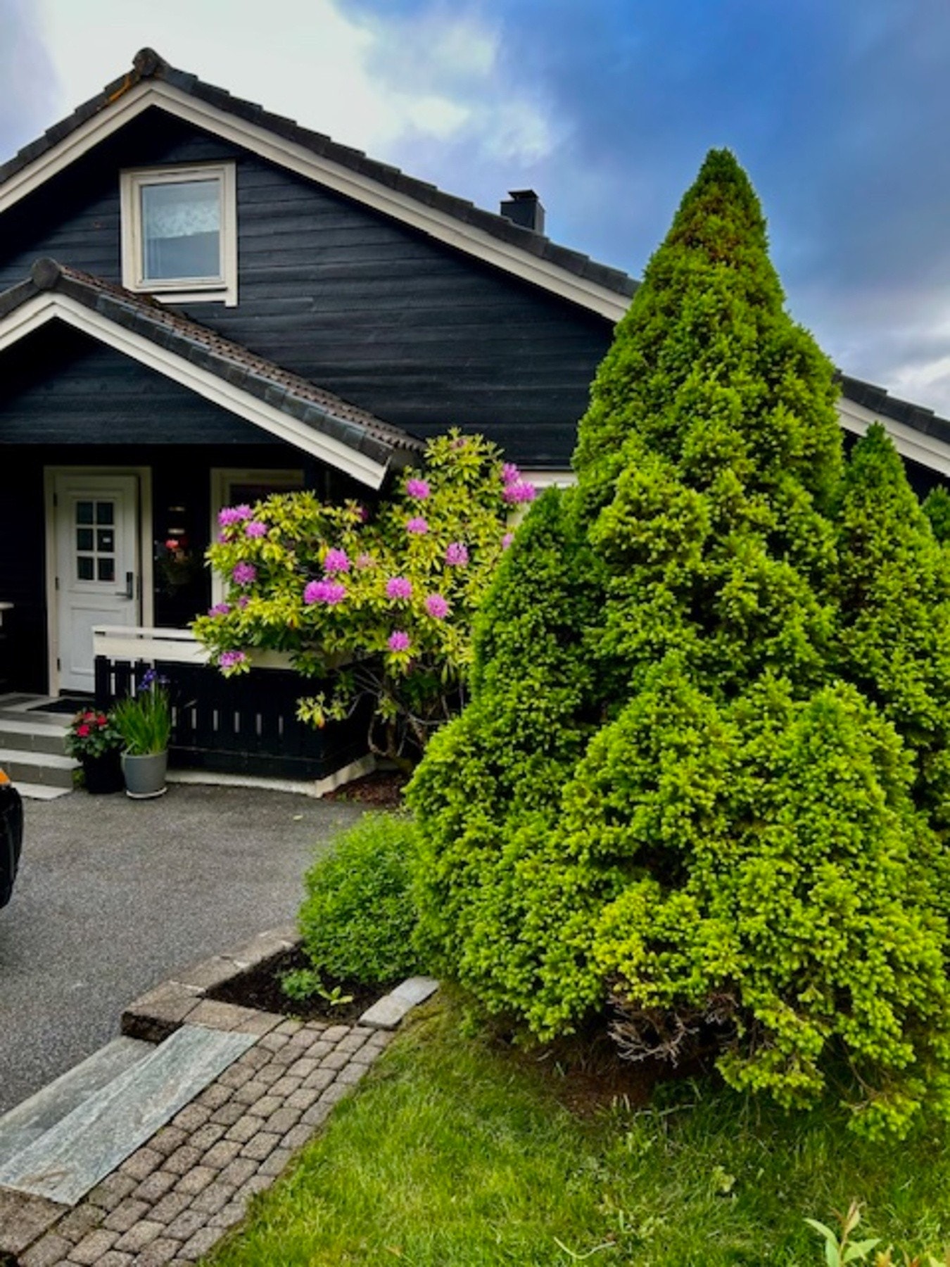 Selgers bilde Galleribilde