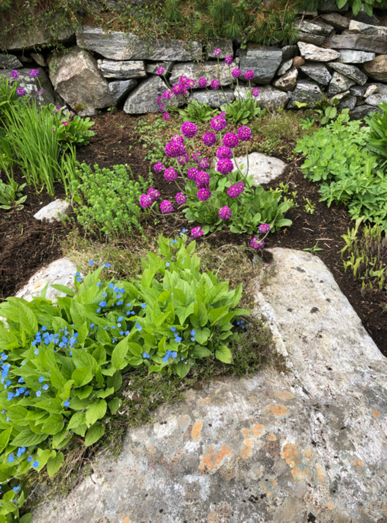 Selgers bilde Galleribilde