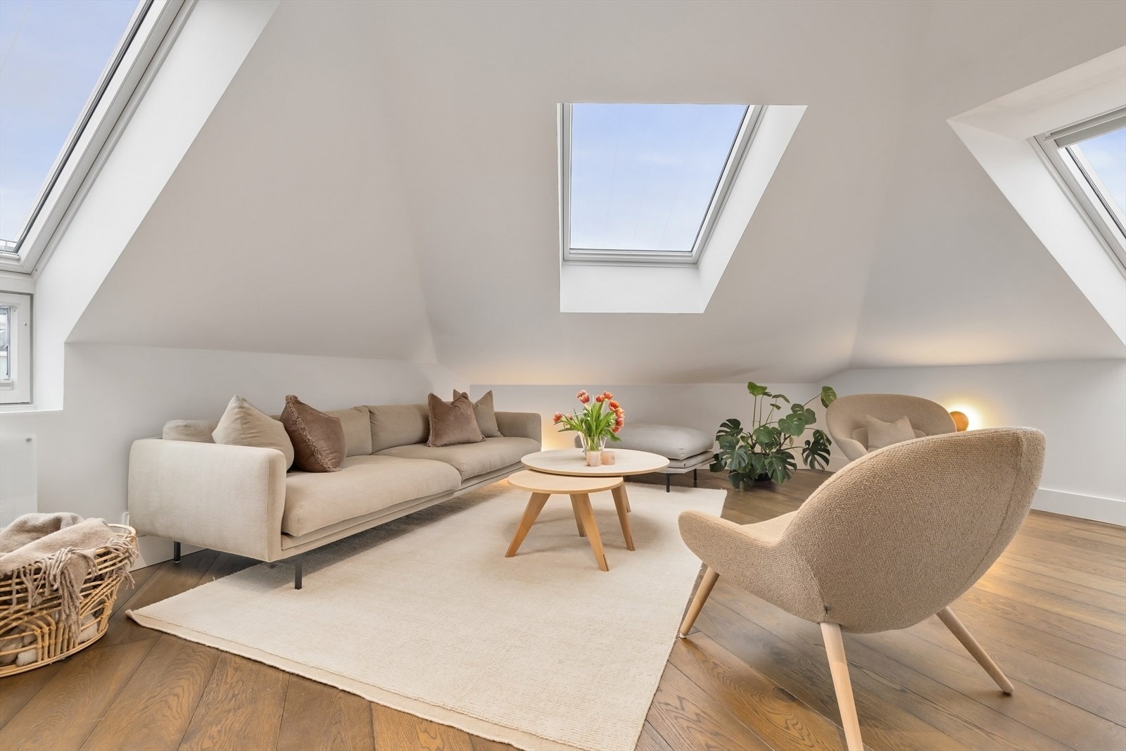 Store vindusflater gir rikelige med naturlig lysinnslipp Galleribilde