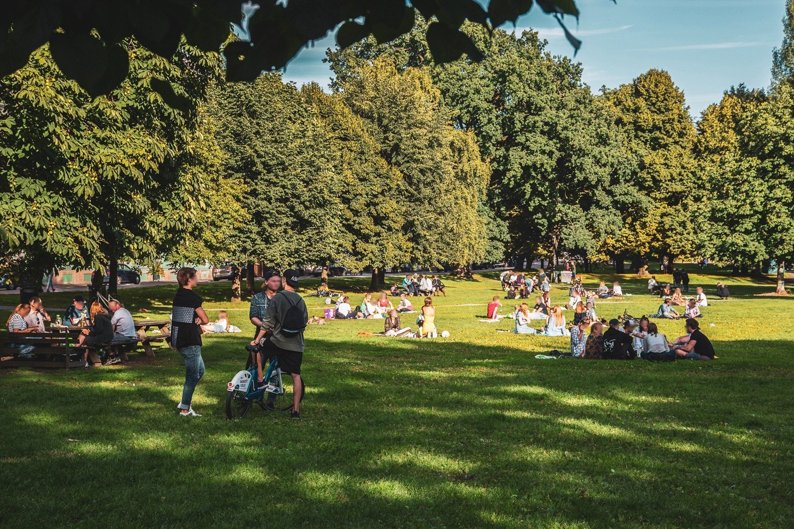 Sofienbergparken ligger i gangavstand fra boligen med flotte turmuligheter og er et perfekt samlingspunkt på de varmere dagene av året. Galleribilde