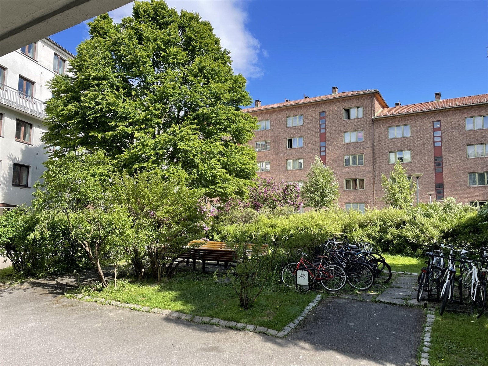 Området er pent opparbeidet med sykkelparkering, beplanting og sittegrupper. Galleribilde