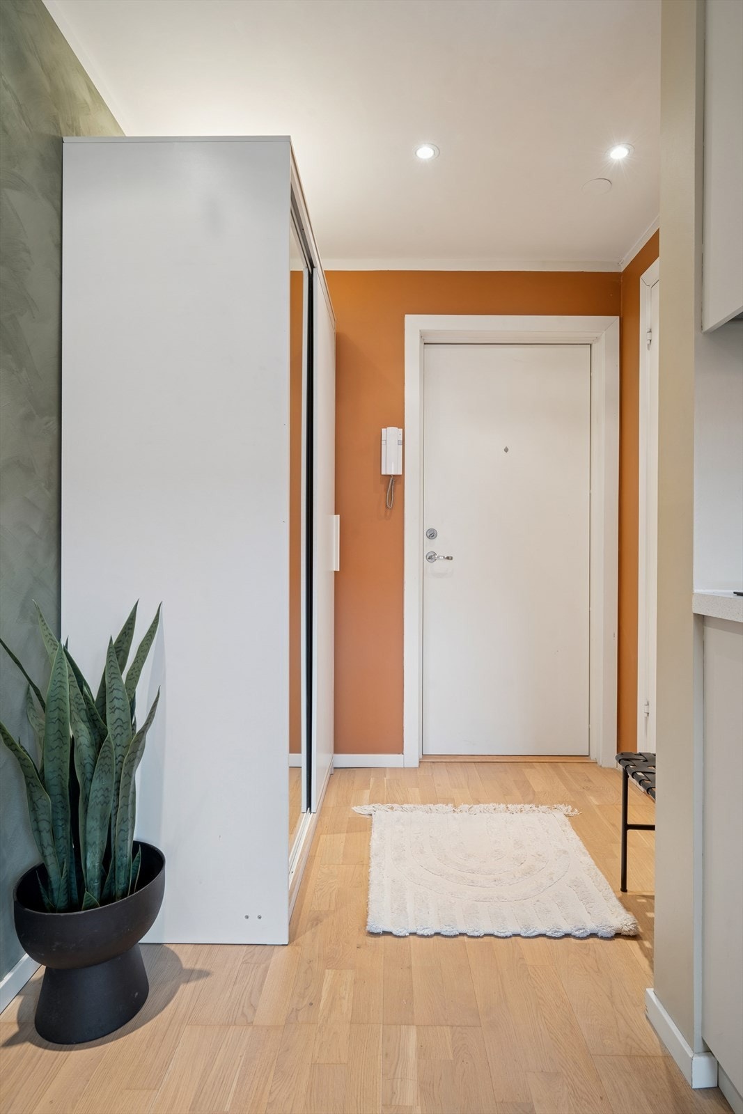 Entréen oppleves romslig med praktisk garderobe som gir god plassutnyttelse. Galleribilde