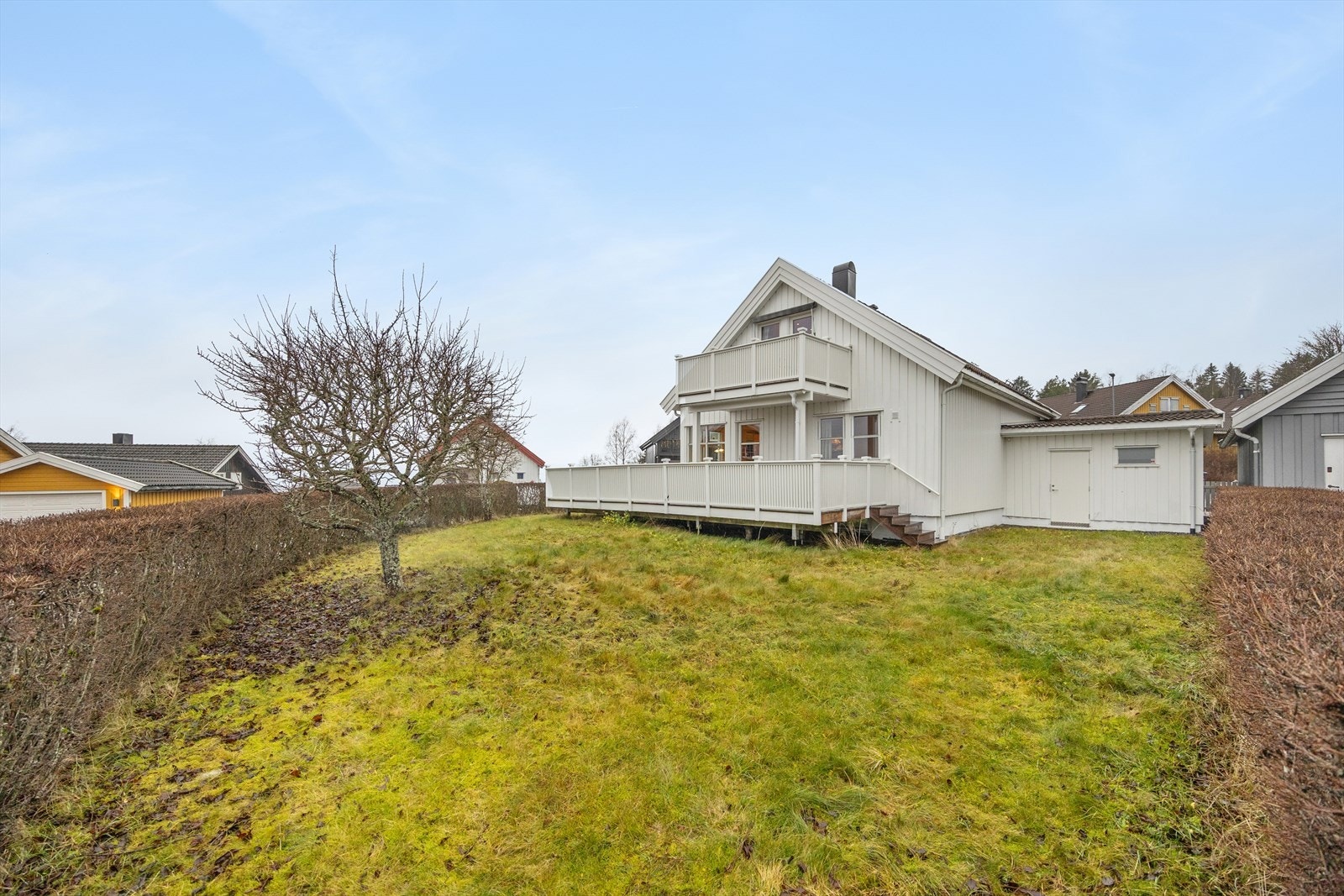 Stor og solrik hage med plen og beplanting. Galleribilde