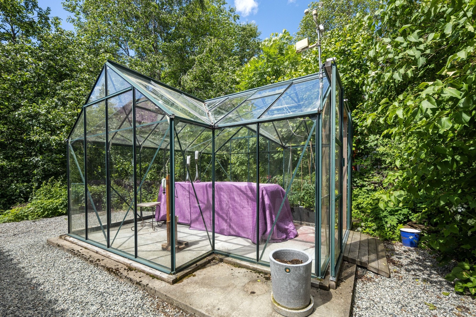 Drivhus. Galleribilde