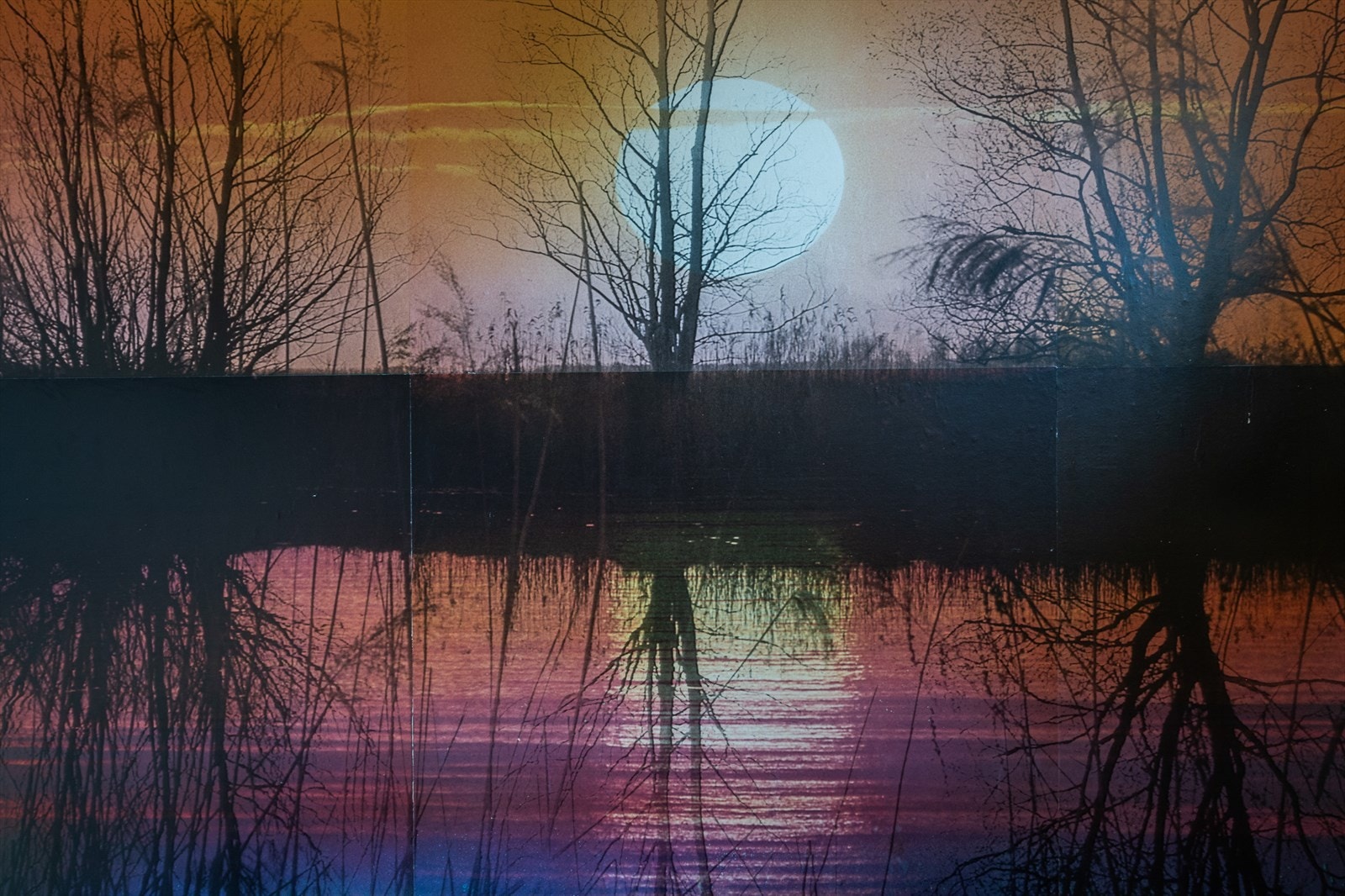 Morsom og kreativ tapet! Galleribilde