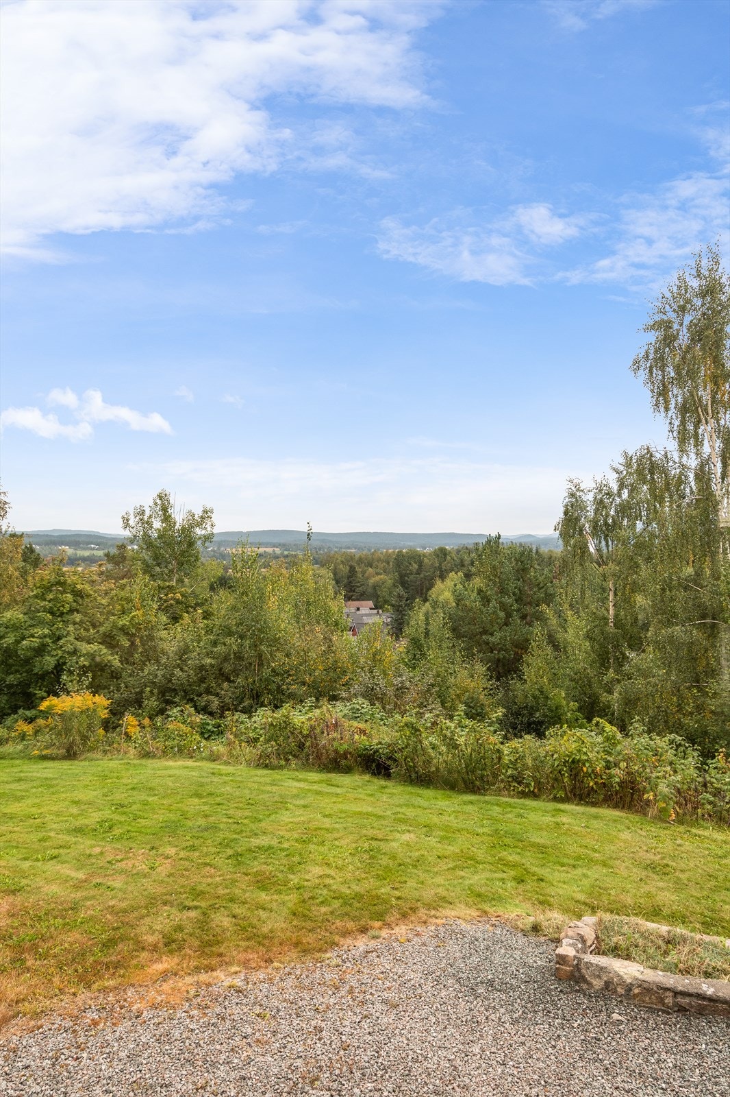 Utsikt fra stuen - bare noen hustak å se ellers skog og mark! Galleribilde