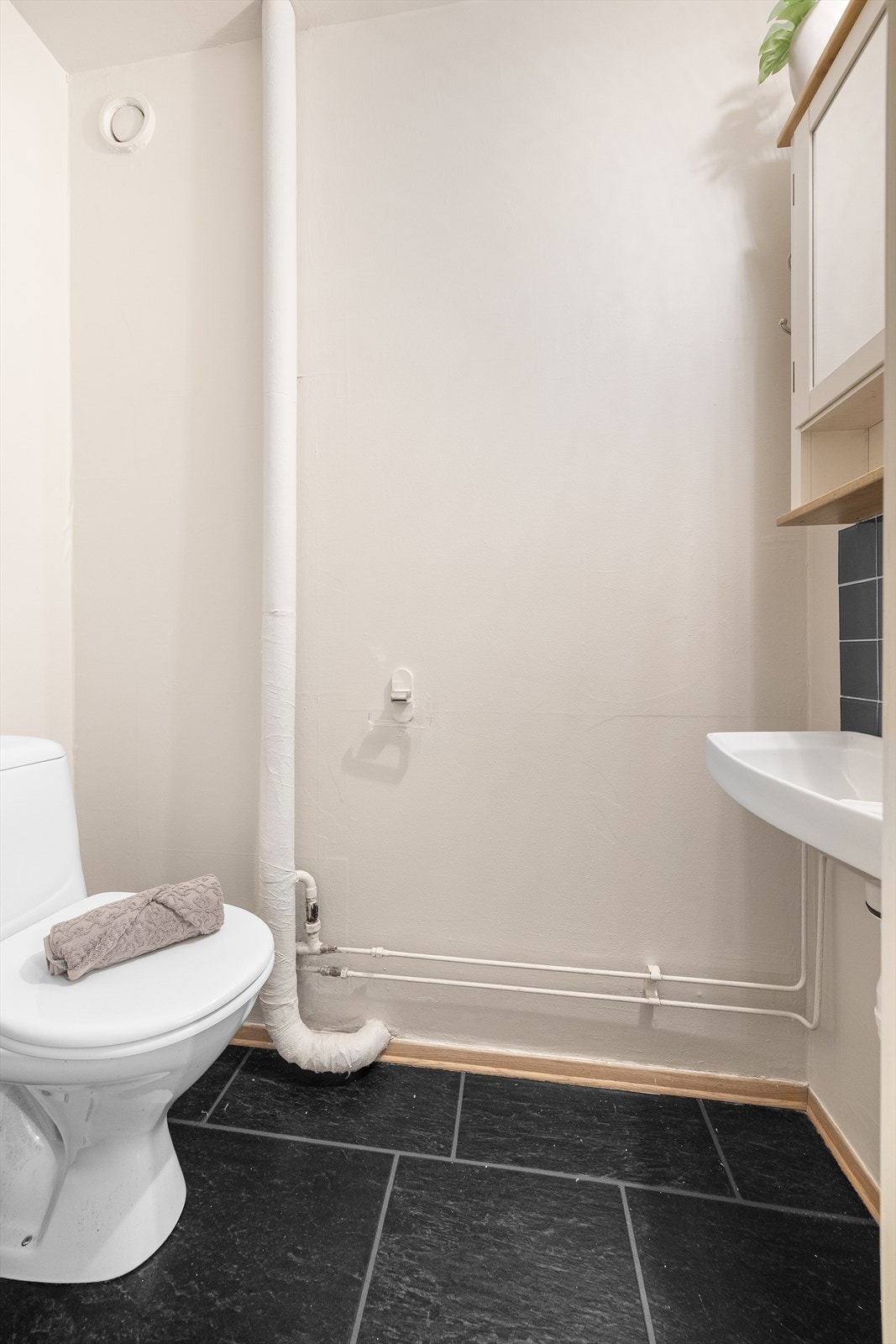 Separat wc med tilknytning via èntre. Galleribilde