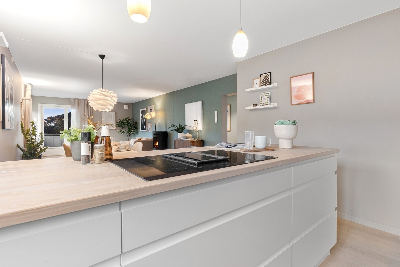 Integrerte hvitevarer med kullfiltervifte nedfelt i platetoppen. Galleribilde