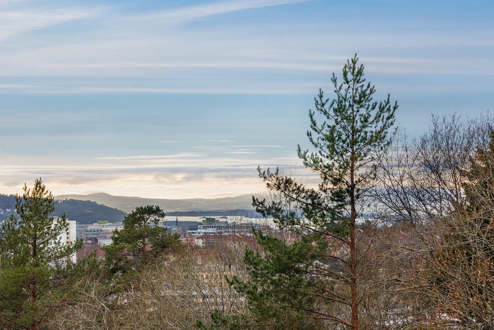 Pent utsyn mot Oslofjorden Galleribilde