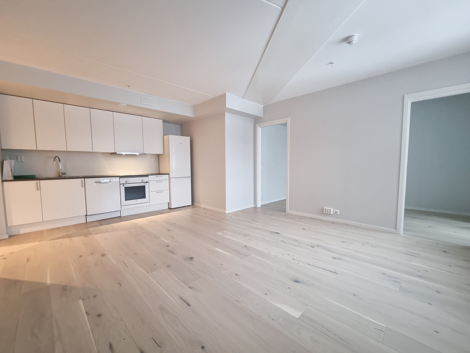 Velkommen til fellesvisning mandag 16.01.23 kl. 17.00 - 17.30. Galleribilde