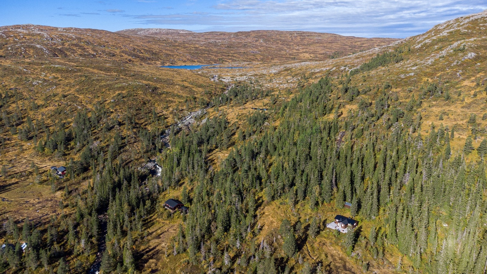 Sommerbilde av området og eiendommen. Galleribilde