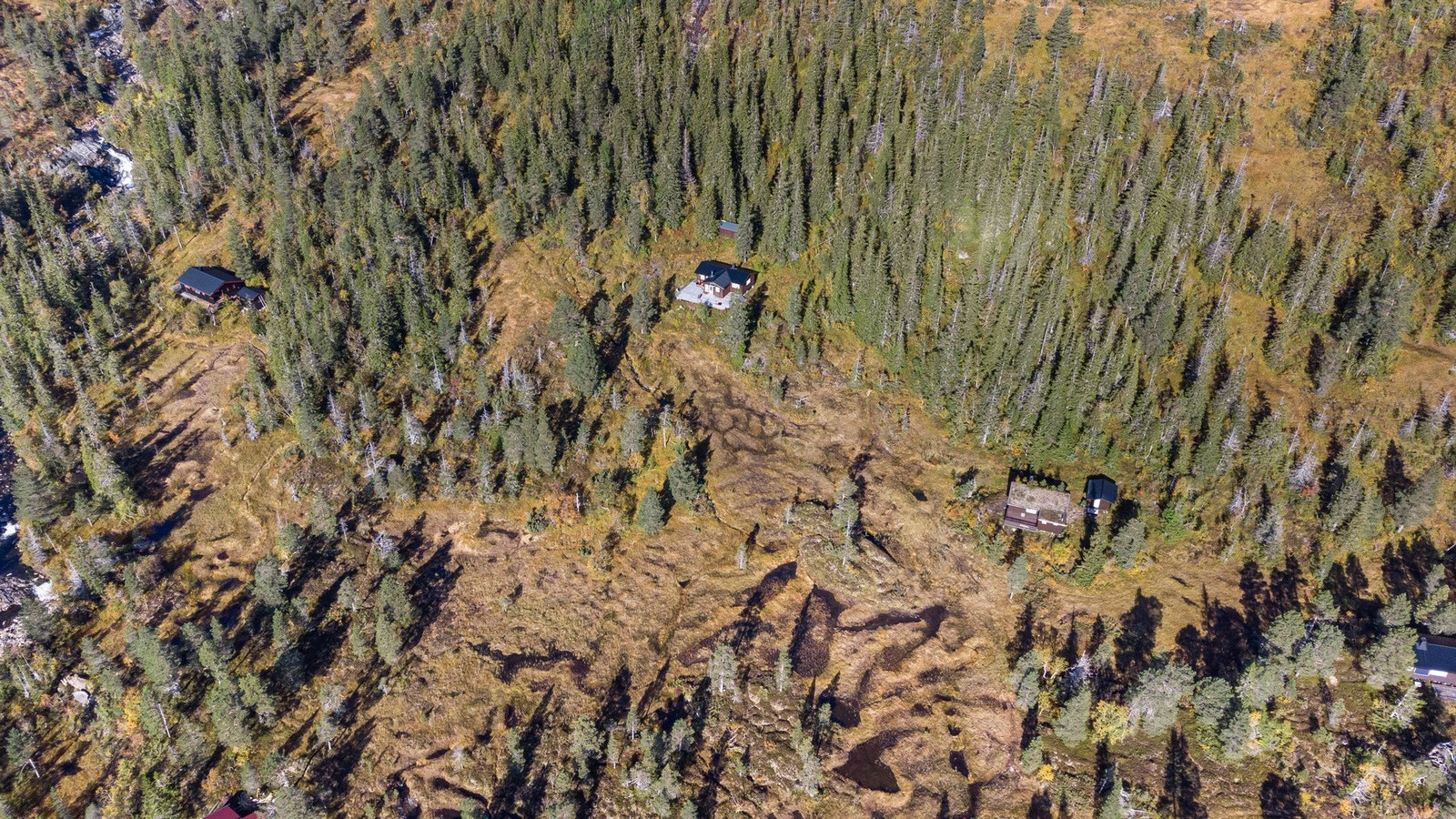 Sommerbilde av området. Hytta ligger til venstre i bildet. Galleribilde