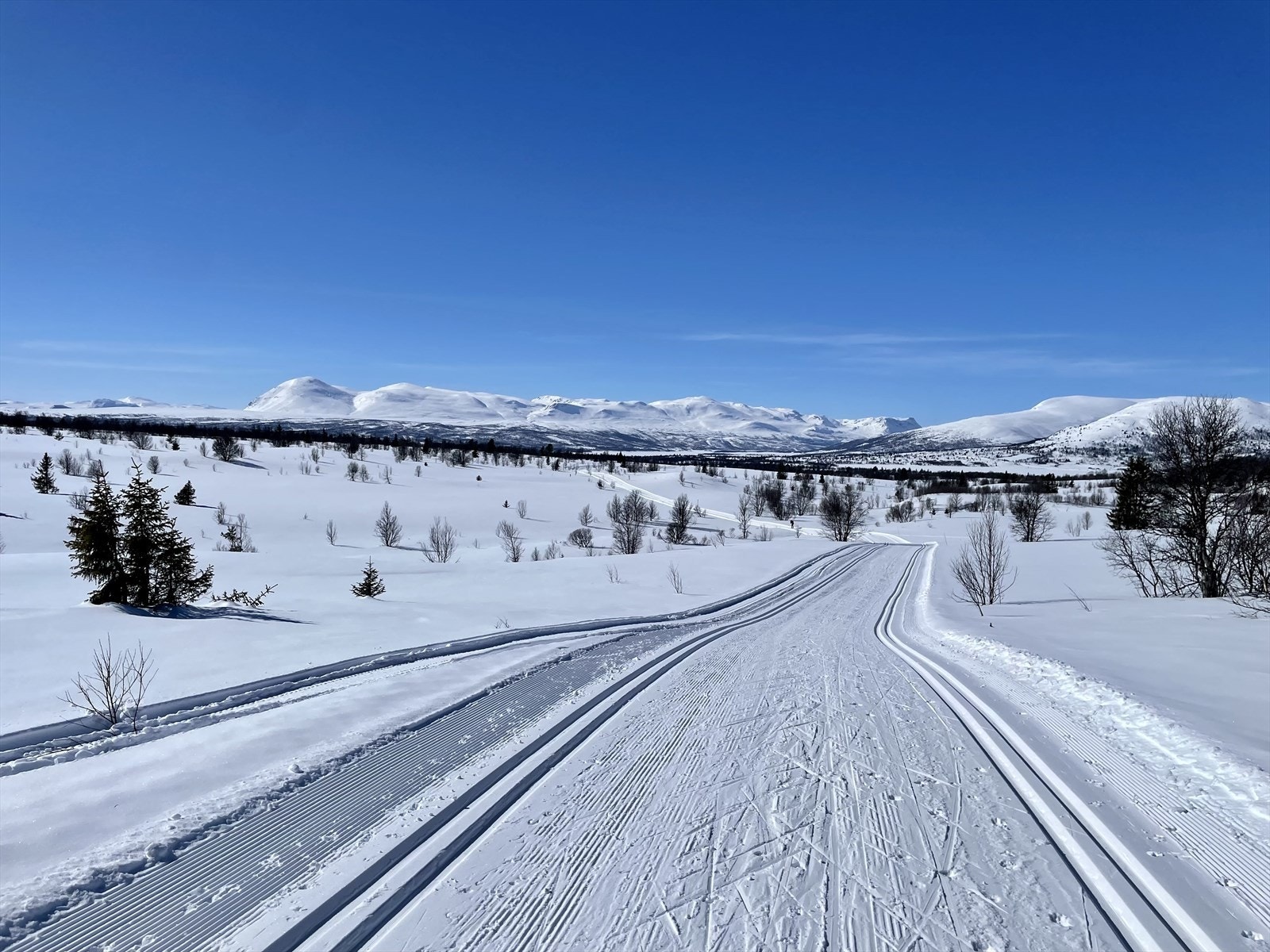 Området byr på nydelig turterreng med fantastiske skiløyper. (Selgers egne bilder) Galleribilde