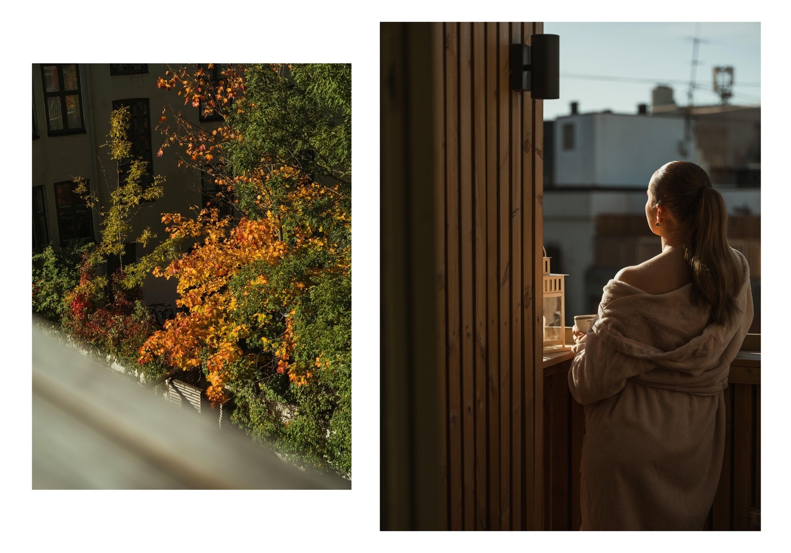 Fra balkongen kan du nyte lange sommerdager og flotte høstdager! Altså, se på de fargene! Bildene ble tatt i starten av Oktober. Galleribilde