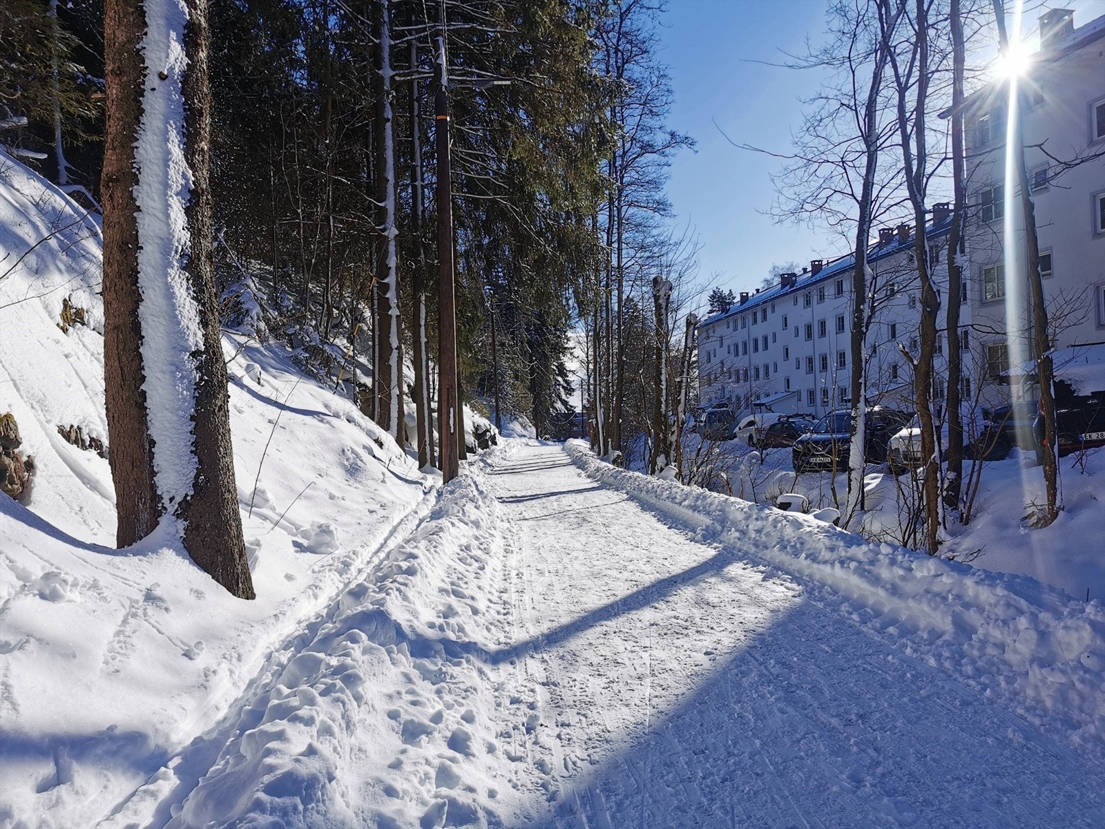 Lysløypene starter rett utenfor oppgangen. Beliggenheten er et eldorado for turskisykkelentusiaster Galleribilde