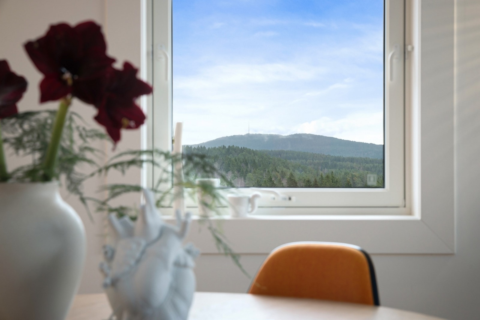 Her starter markagrensa, med ski/sykkelstier, rett utenfor døren! Galleribilde