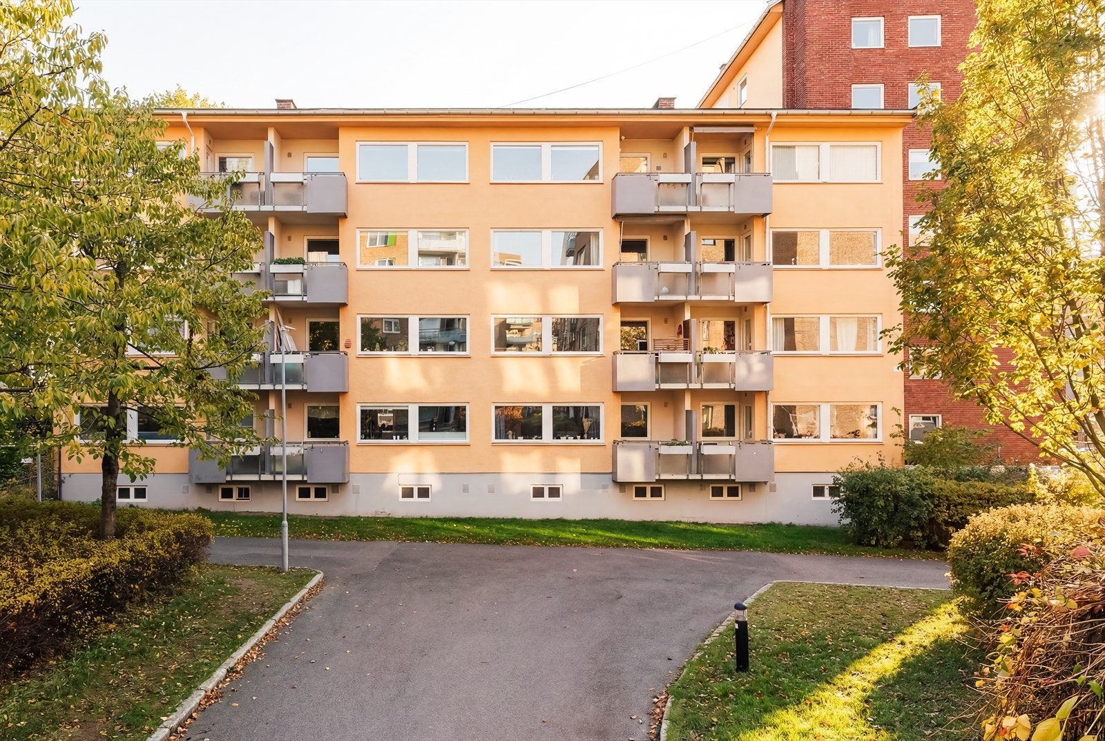 Velkommen til visning! Galleribilde