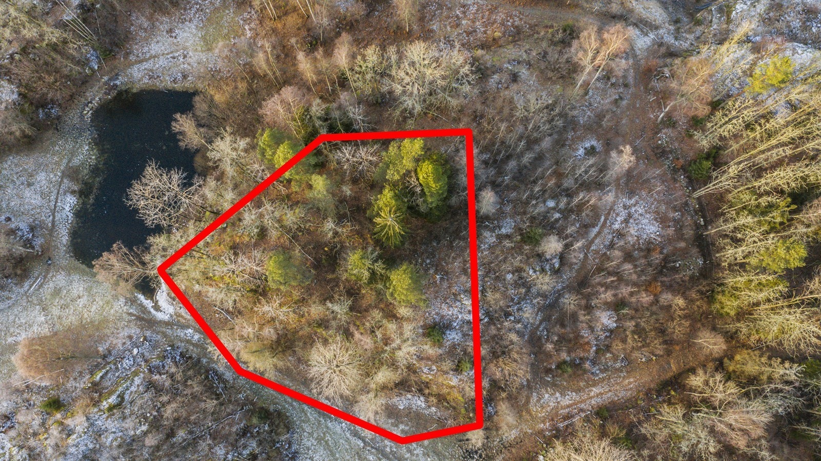 DJI_0394 Galleribilde