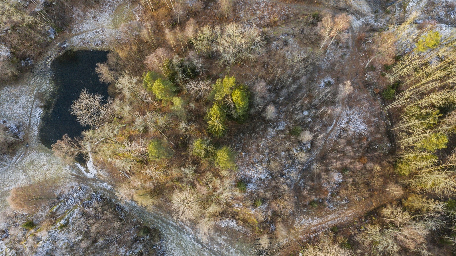 DJI_0394 Galleribilde