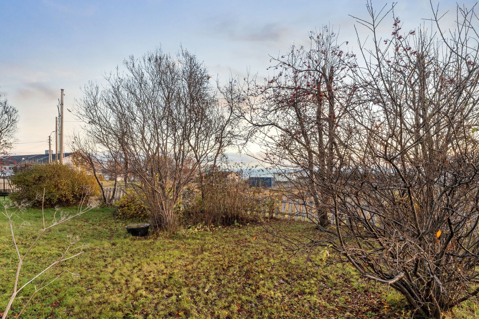 Hage på boligens bakside Galleribilde