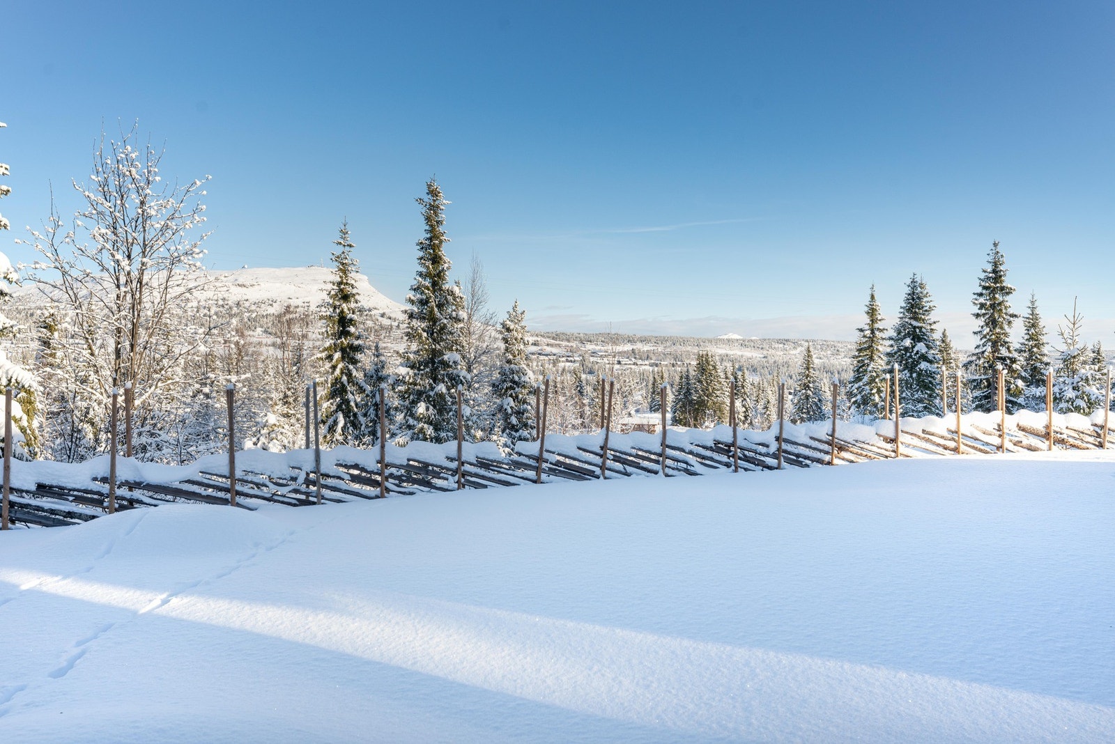 Tomta er delvis inngjerdet md skigard. Galleribilde