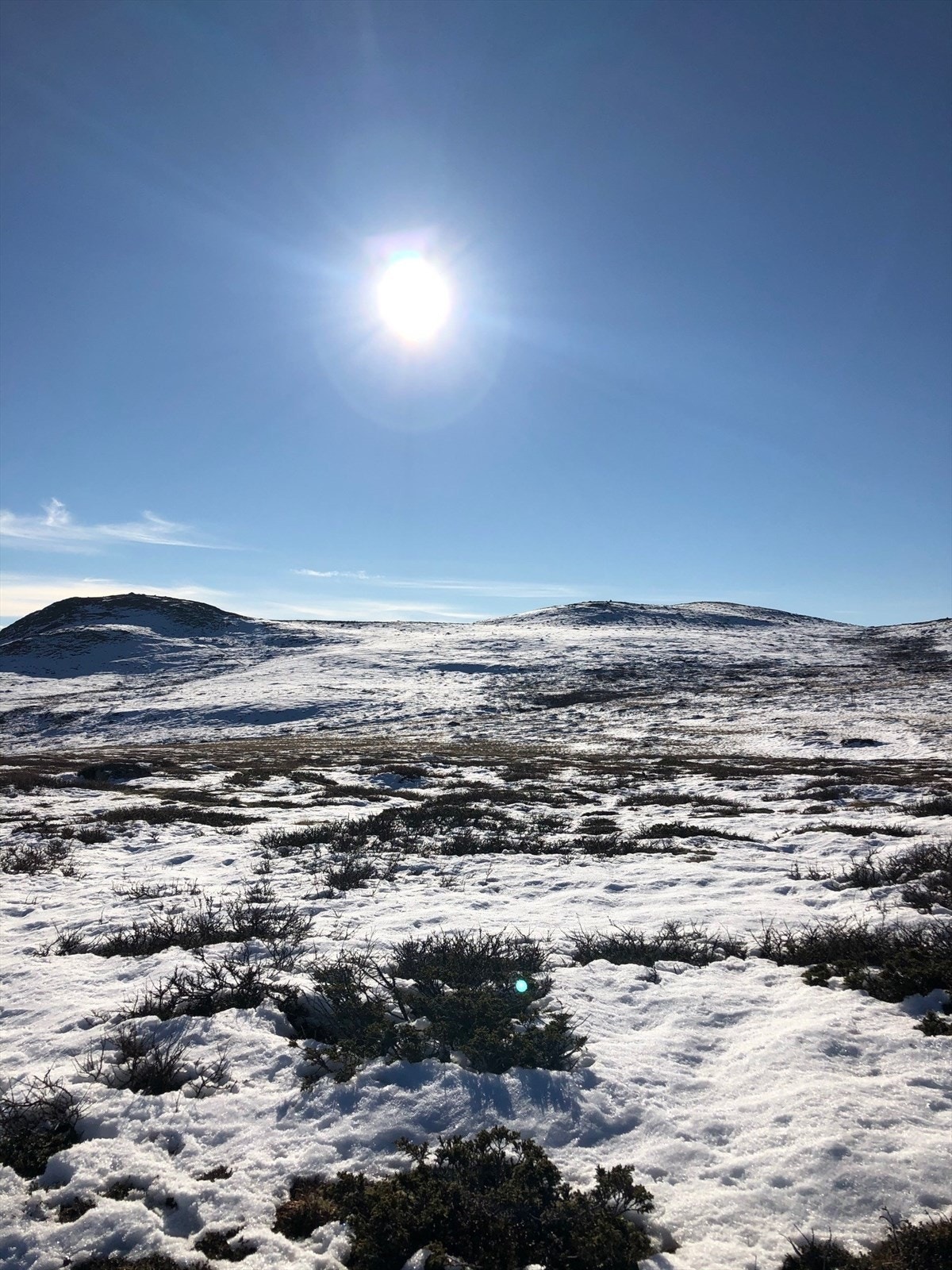 Selgers egne bilder Galleribilde