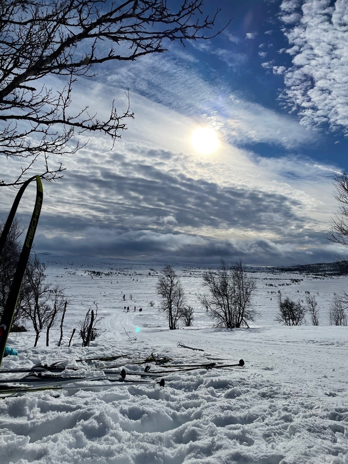 Selgers egne bilder Galleribilde