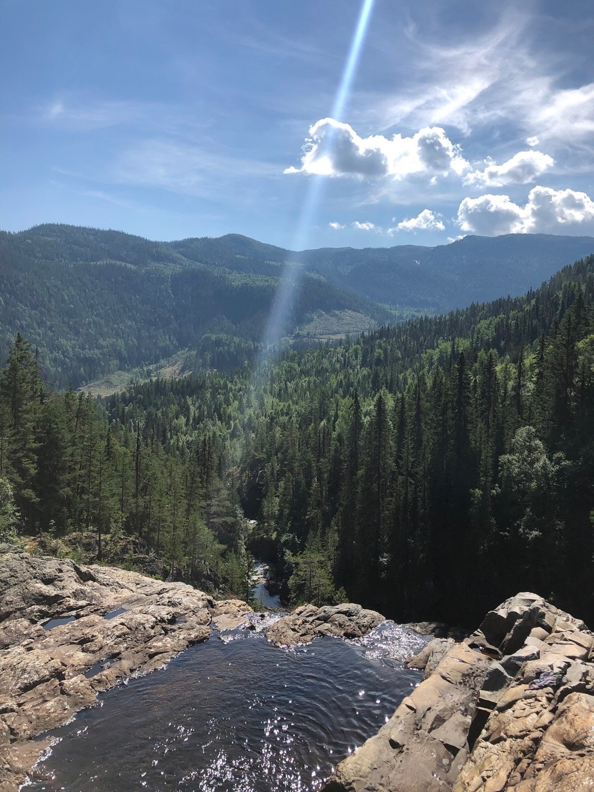 Selgers egne bilder Galleribilde