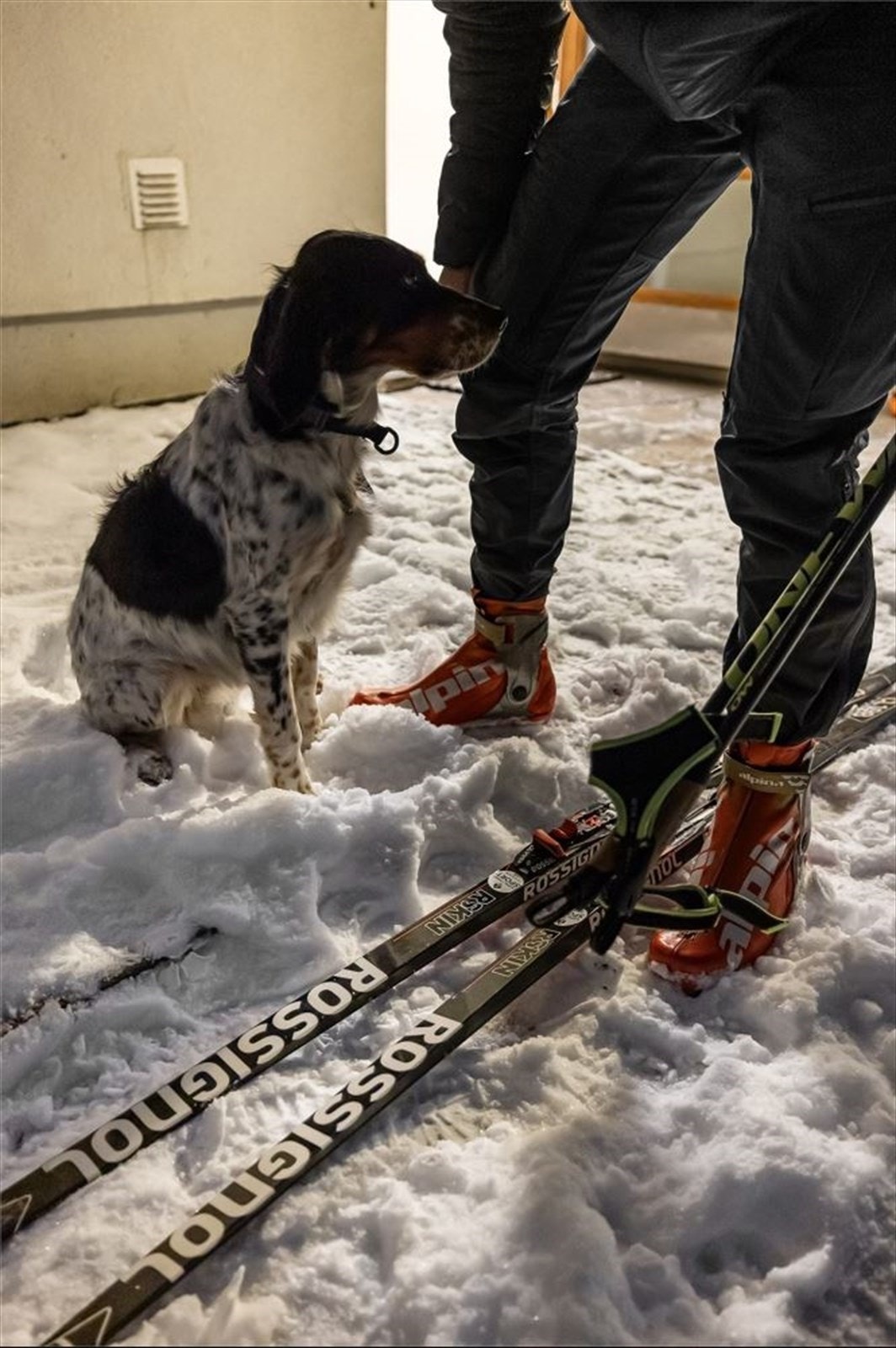 Med marka kun ett steinkast unna er dette en perle du ikke bør gå glipp av! Galleribilde