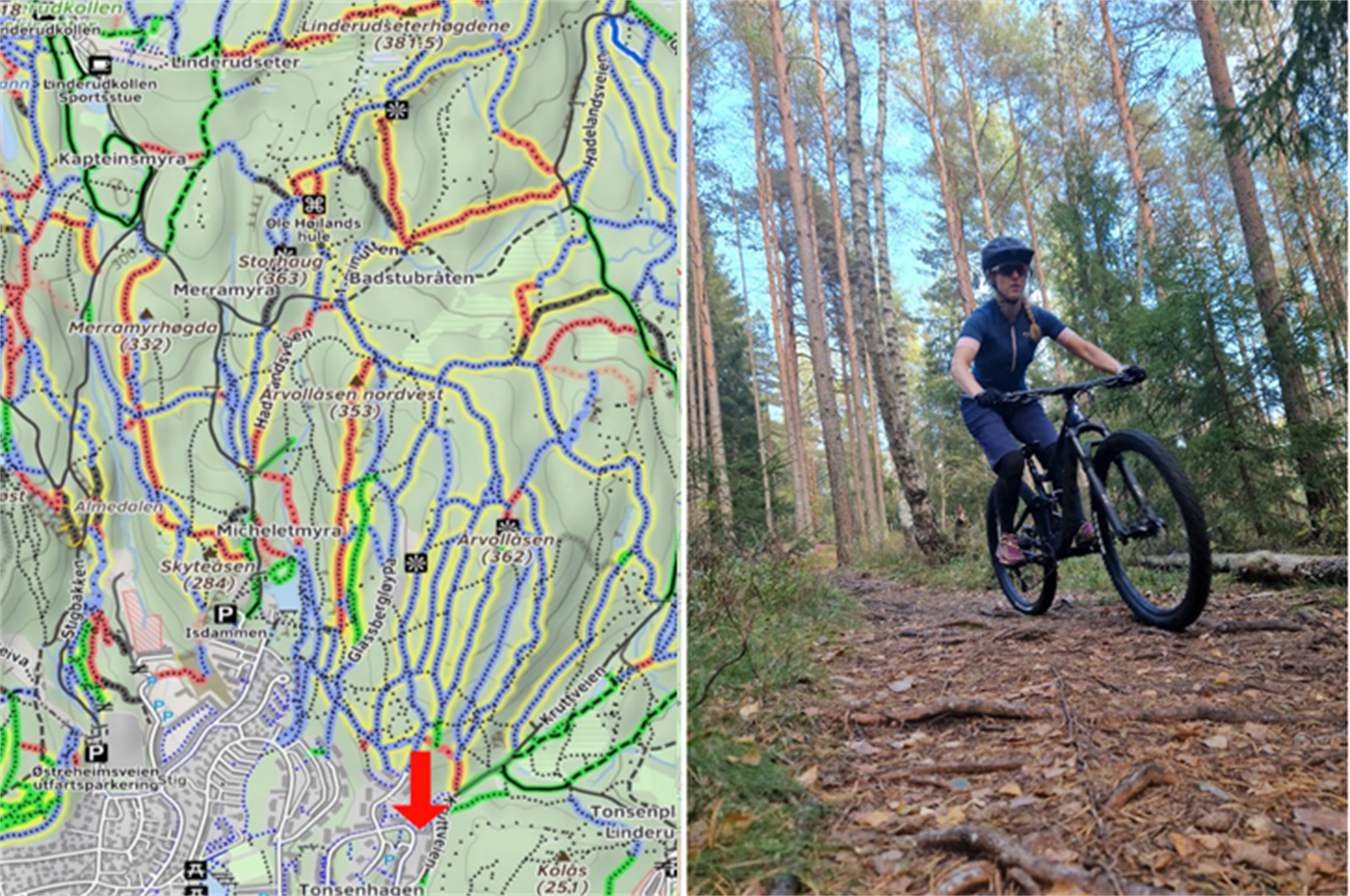 På kort tid når du toppen av Årvollåsen, med en mengde linjevalg ned igjen. Du er tett på Merramyrhøgda, Alnsjøen, Barlindåsen, Slengfehøgda og en mengde Lillo-klassikere Galleribilde