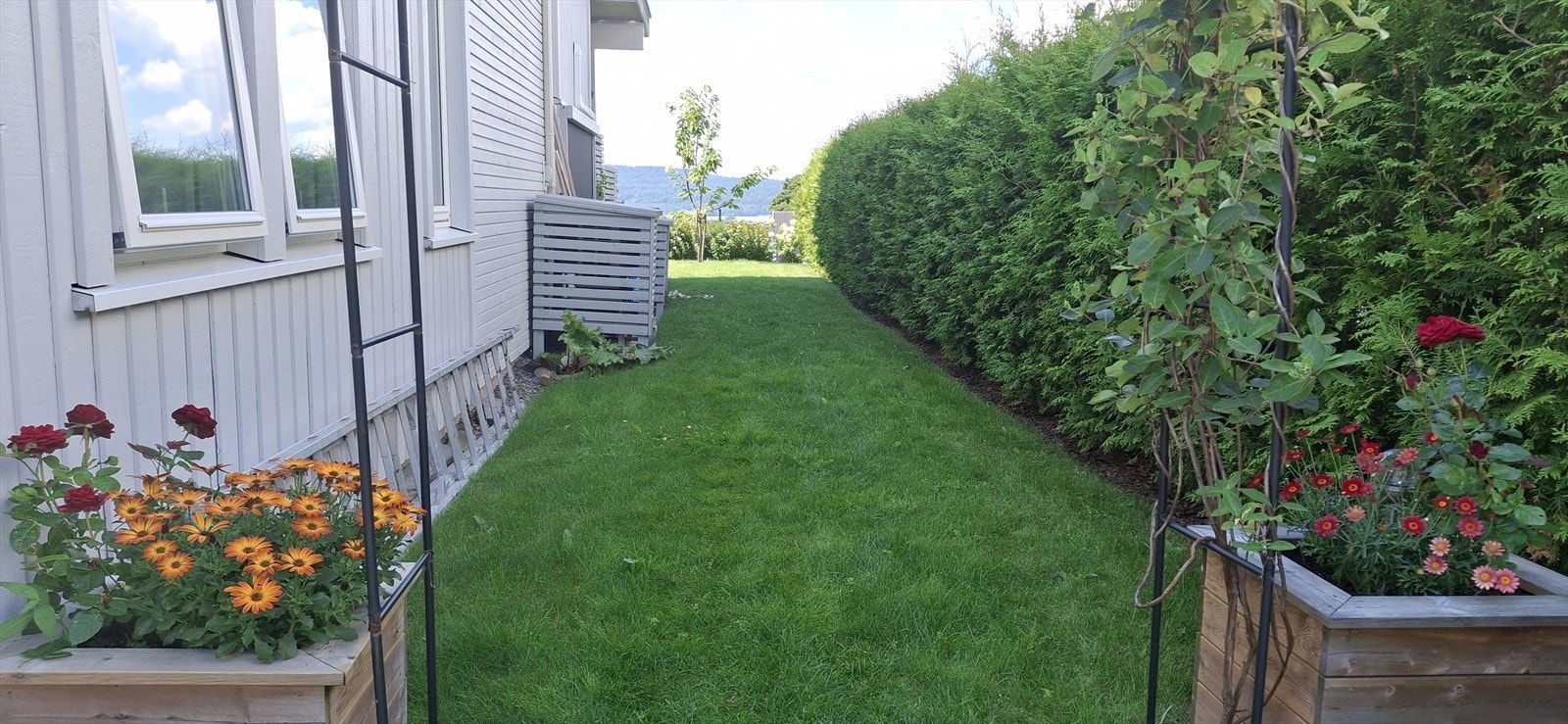 Selgers egne bilder. Galleribilde