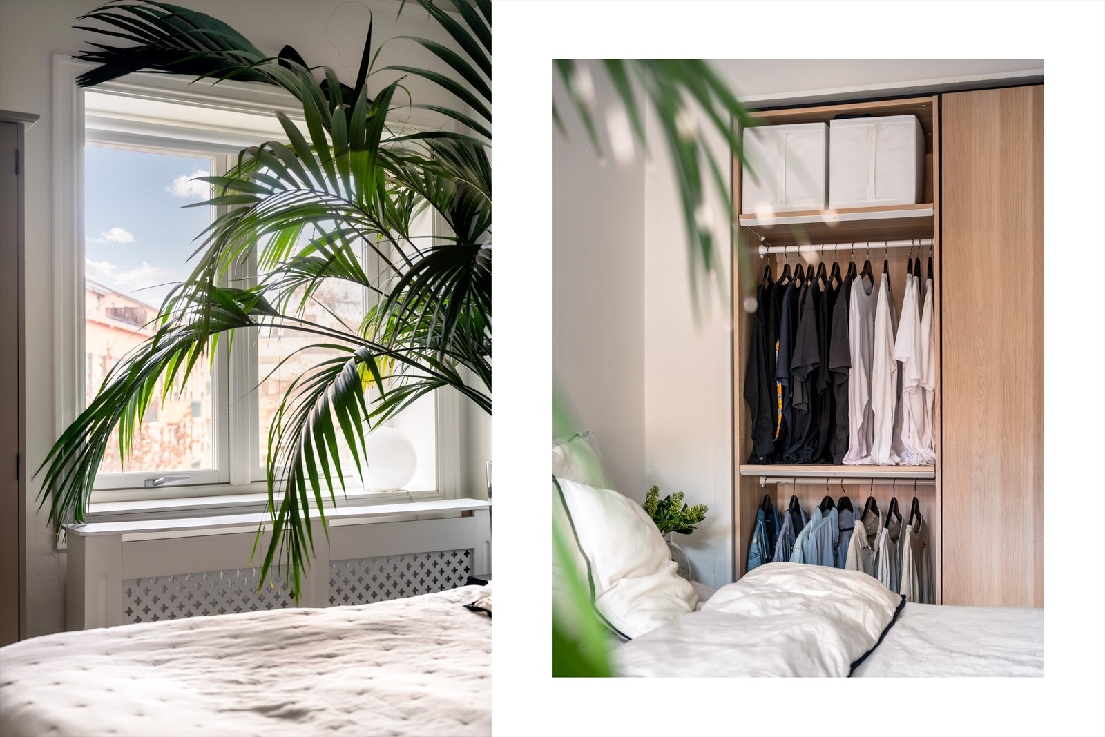 De store vindusflatene gir godt med naturlig lysinnslipp. Galleribilde