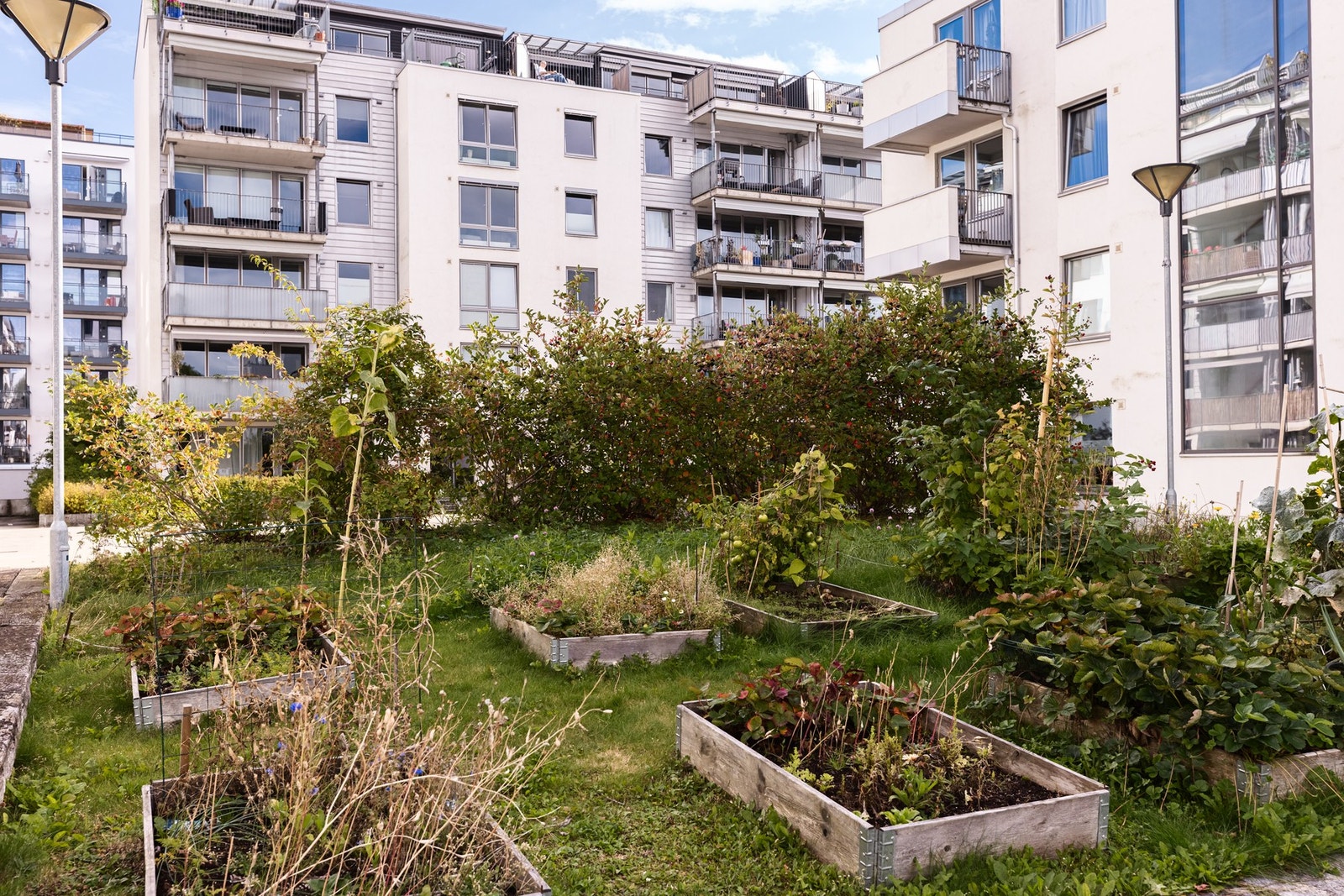 Sameiets grønne fellesarealer ligger skjermet fra biltrafikk og munner ut i turstier langs Akerselva. Galleribilde