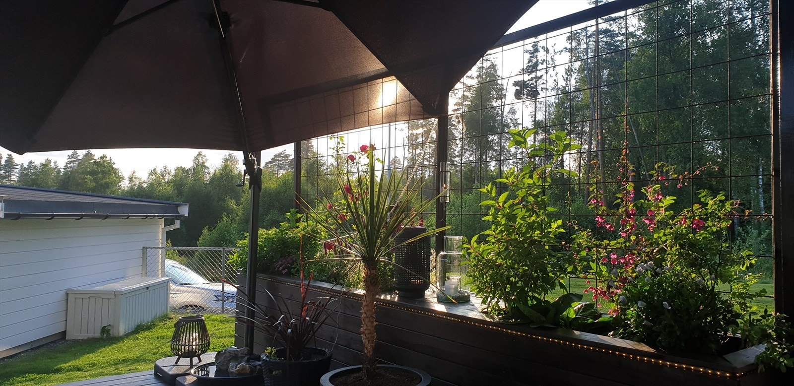 Selgers private bilder. Galleribilde