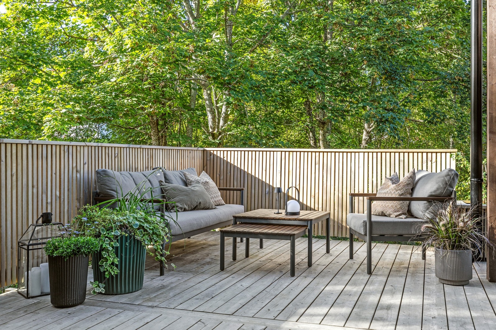 Terrasse. Galleribilde