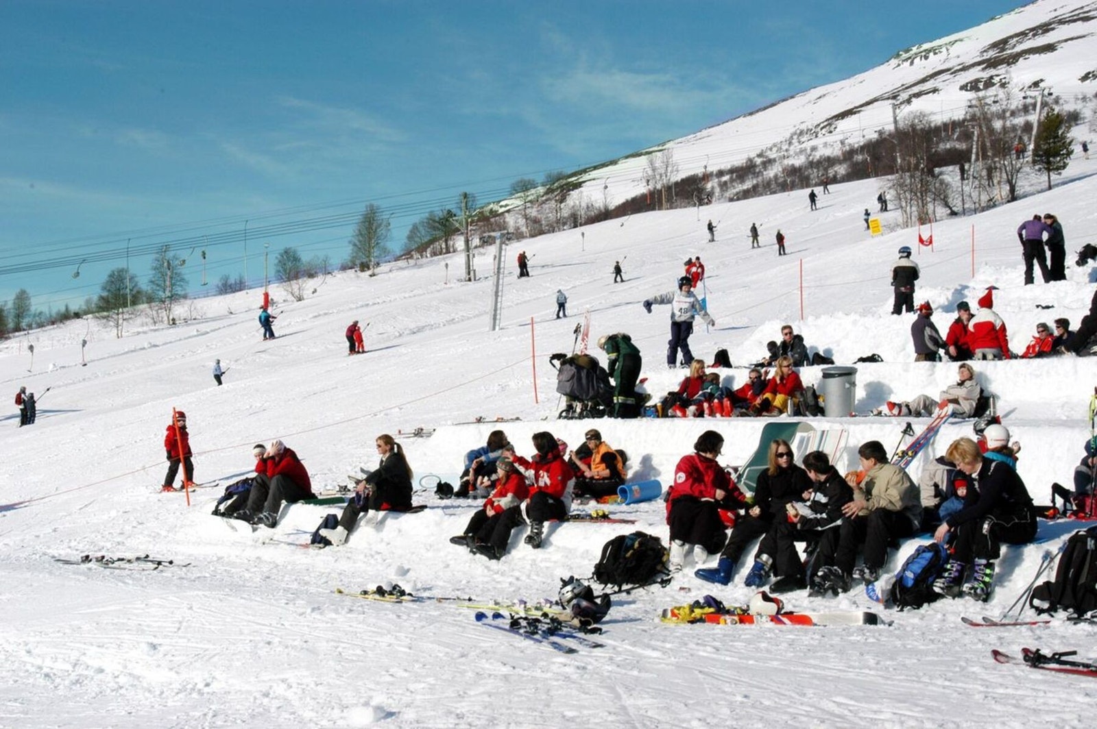 Kos i bakken! Galleribilde