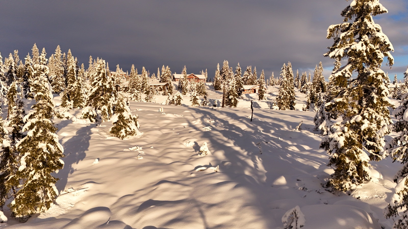 Ekte dronebilde Galleribilde
