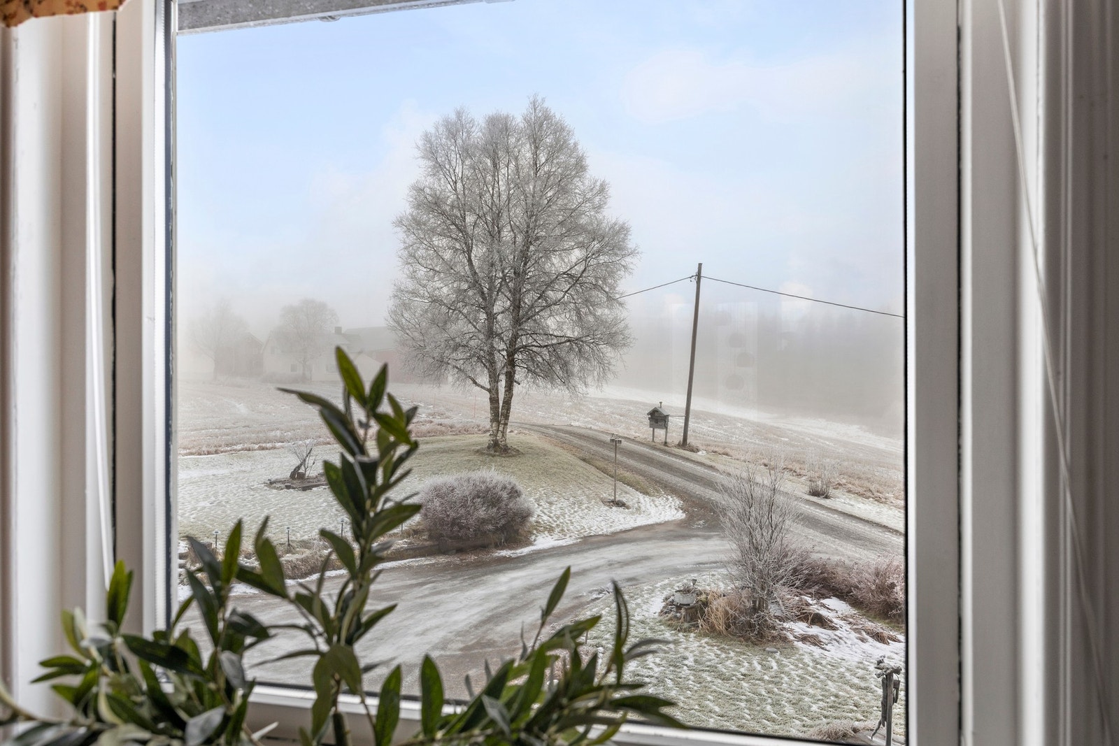 Utsikt fra kjøkkenbordet! Galleribilde