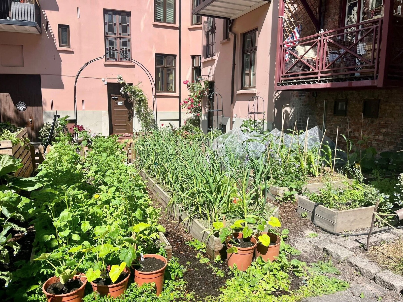 Her kan man også få litt "hage-glede" med beplanting og dyrking av grønnsaker. Under høstfesten lages det suppe på avlingen. Galleribilde