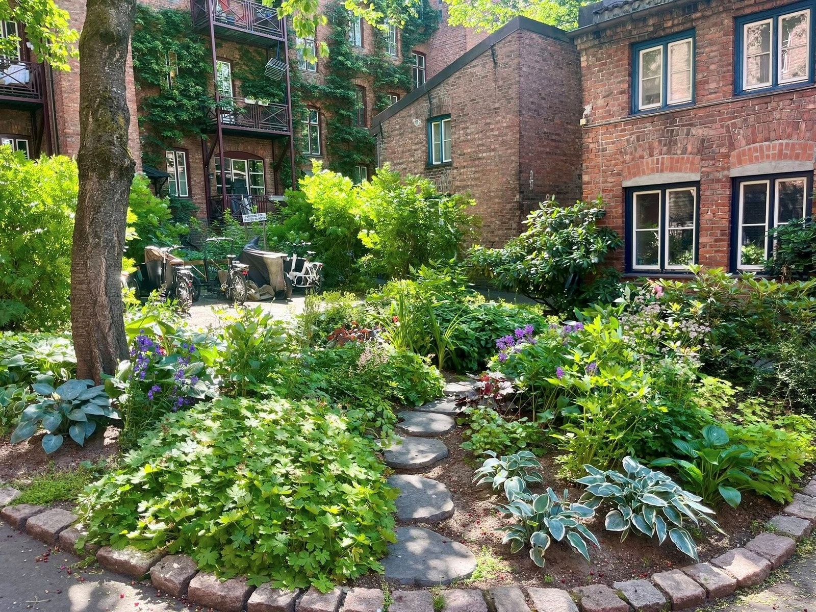 Grønn og landlig idyll, midt i sentrumskjernen - det beste fra to verdener. Galleribilde