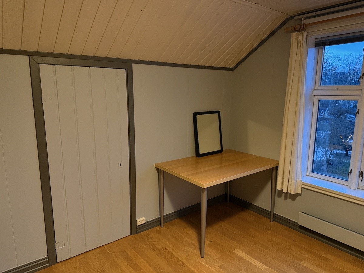 Det ledige rommet Galleribilde