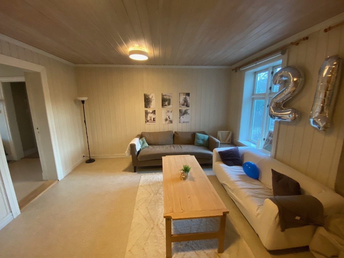 Felles stue Galleribilde