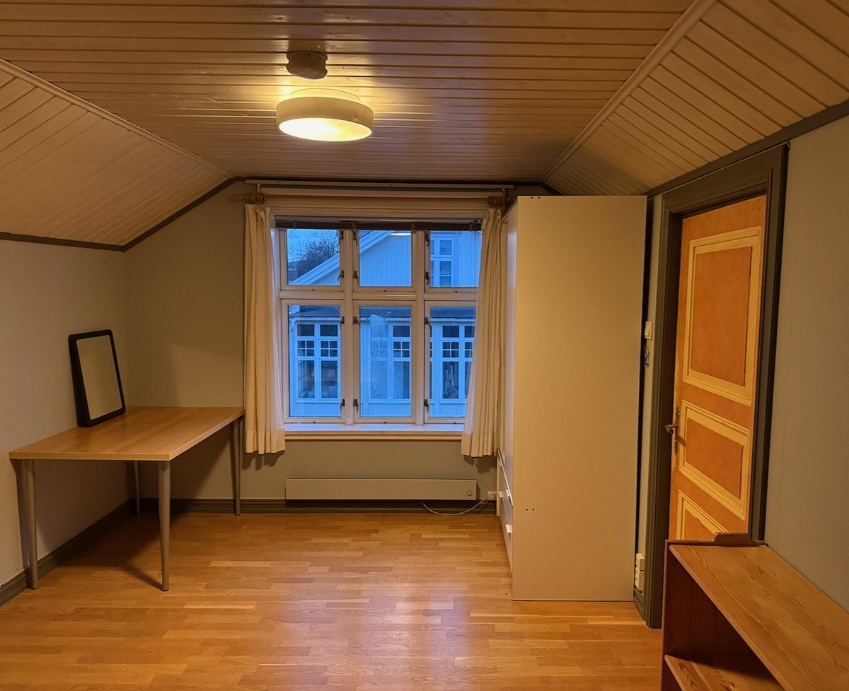 Det ledige rommet Galleribilde