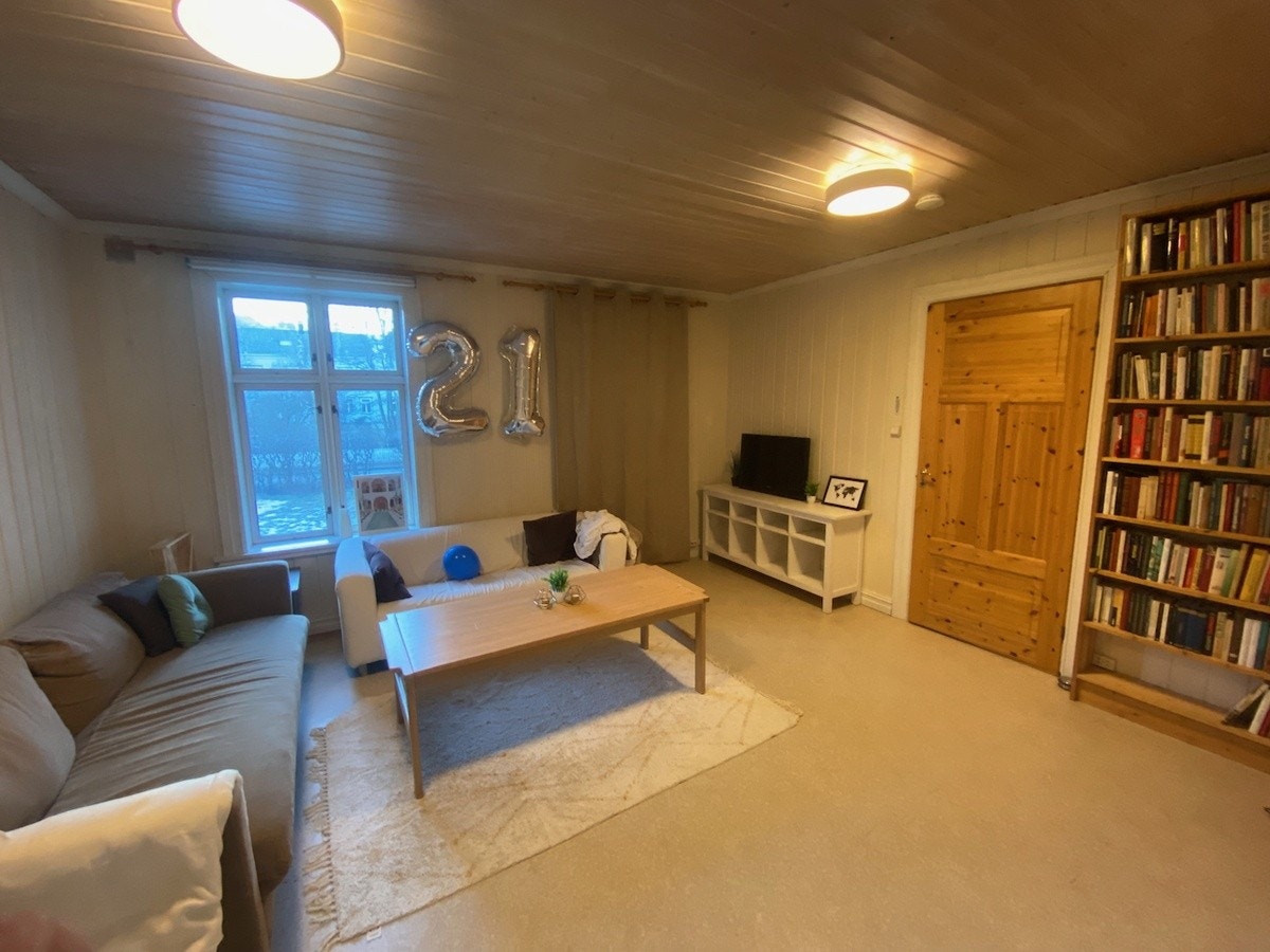 Stor felles stue på 19 kvadratmeter Galleribilde