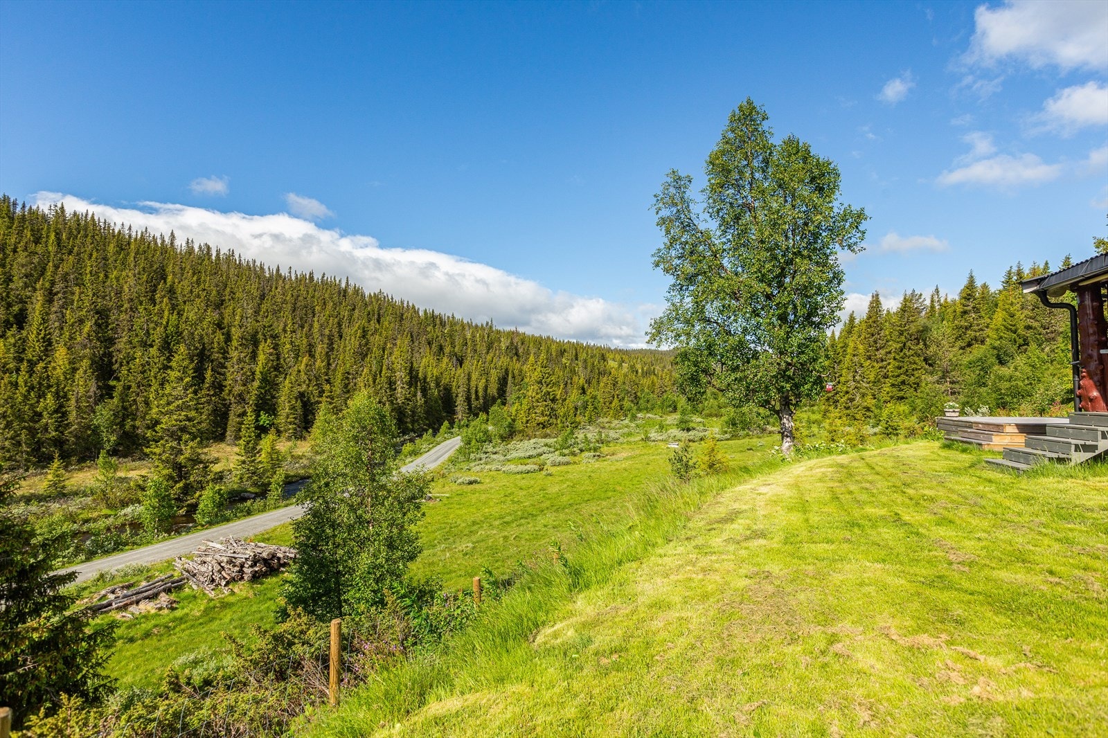 En kan sykle rundt på flotte stølsveier eller rusle innover på fine stier og plukke litt bær. Galleribilde