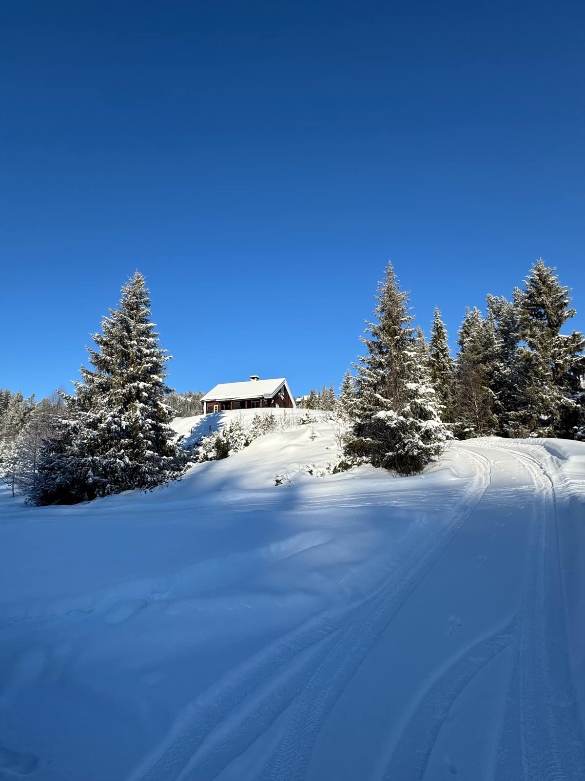 Vinterstid finner en flotte, oppkjørte skiløyper om lag 30 m fra hytteveggen. (Selgers foto) Galleribilde